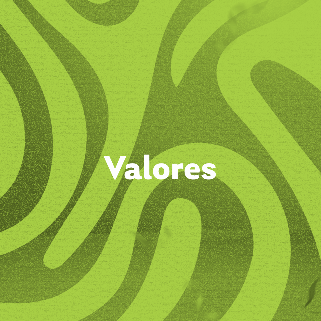 Valores